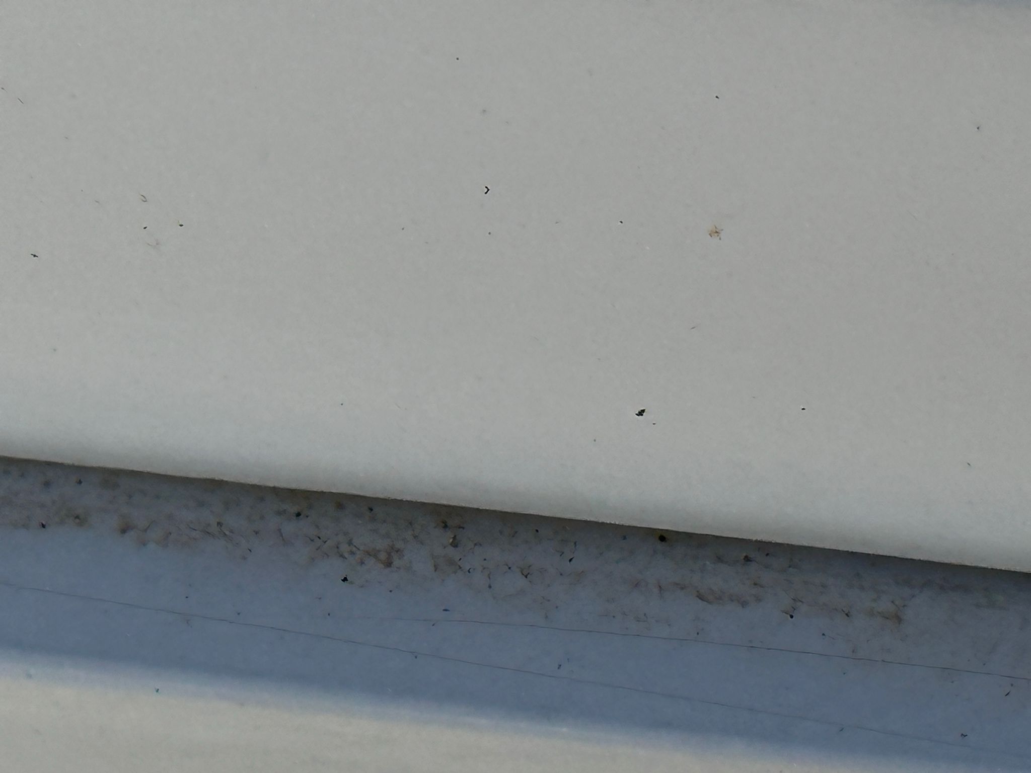 6f3ae52c-07d7-4eb7-a9b3-316317d19ef4