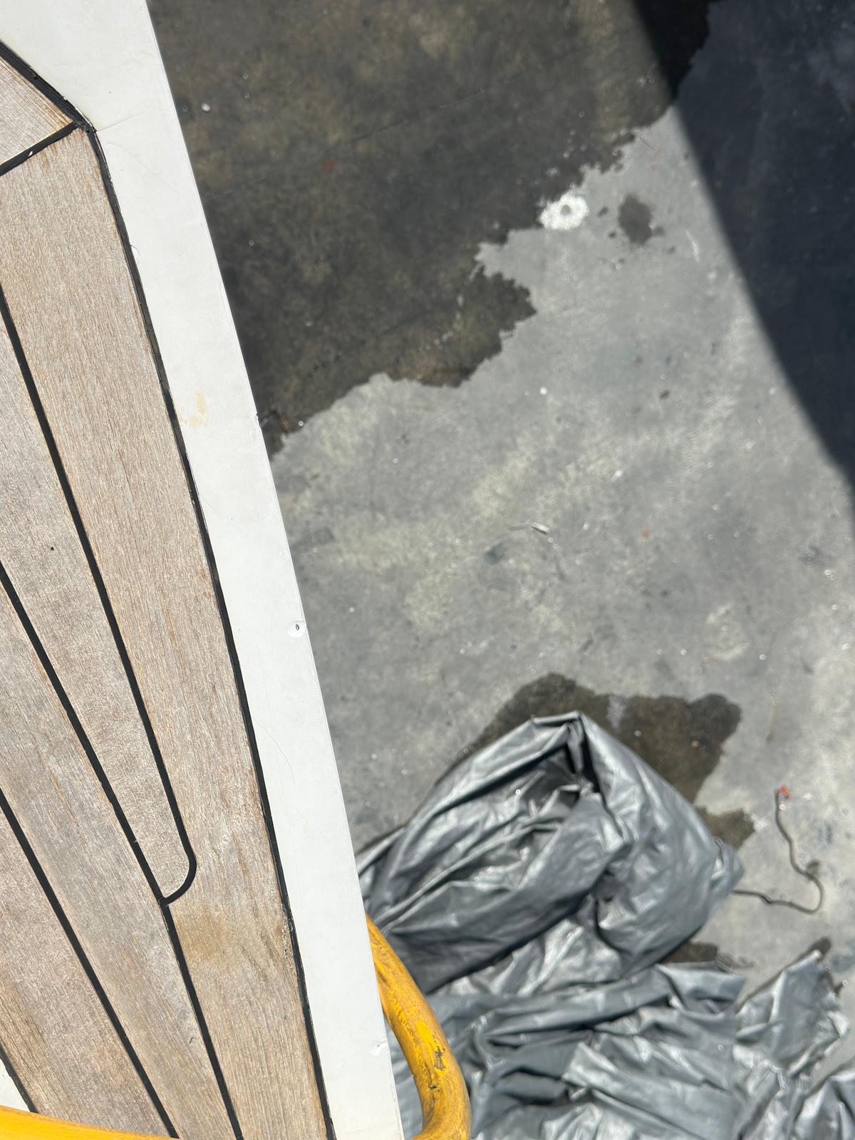 8dfc3509-e67c-47f1-a290-39b787861ea7